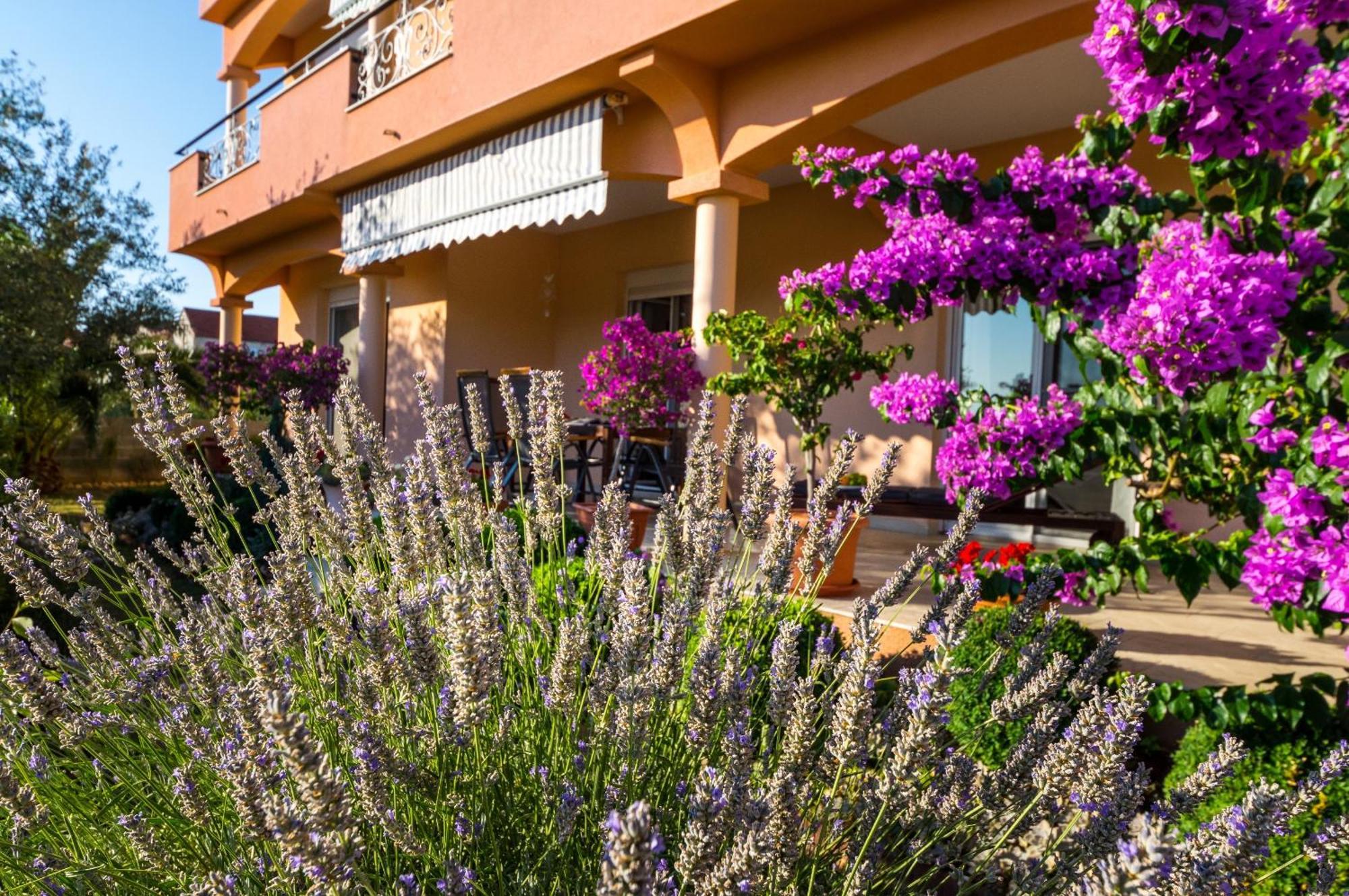 Apartment 1001 Nights Zadar Exterior foto